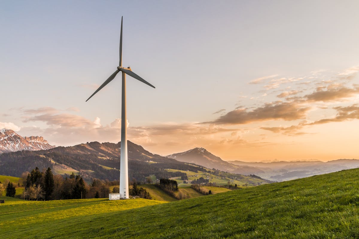 Cutting energy bills with smart home automation