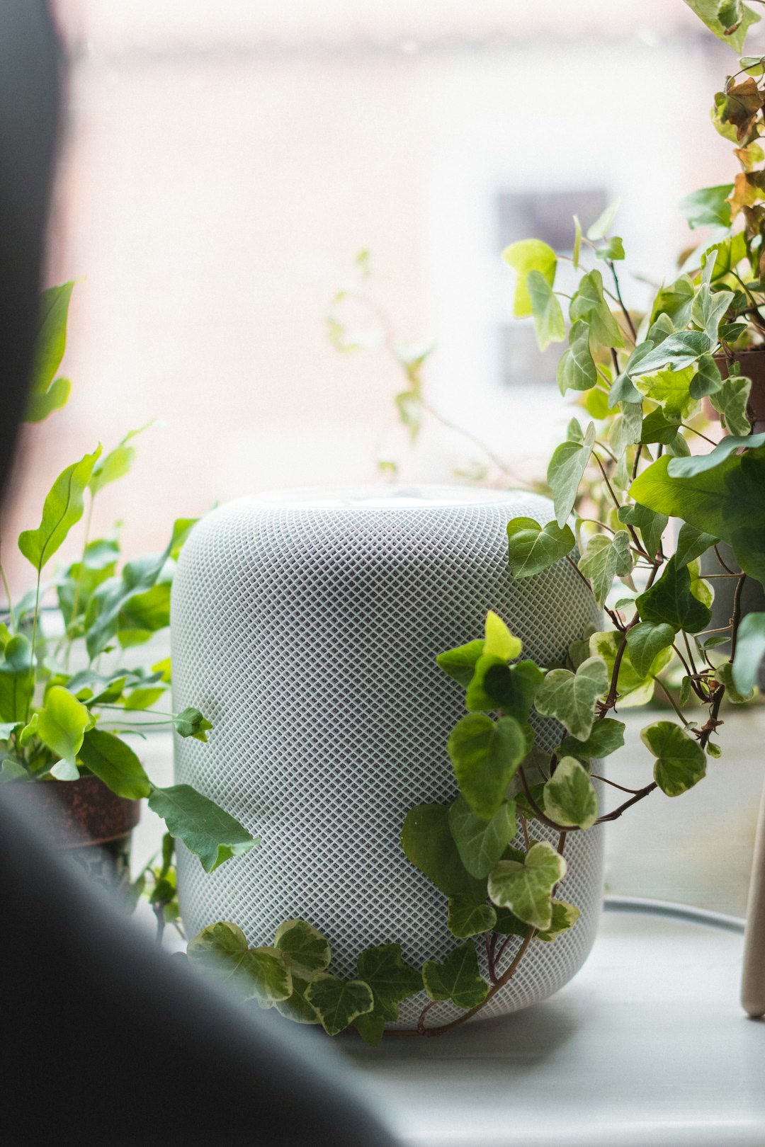 Apple HomePod mini with HomeKit smart home setup