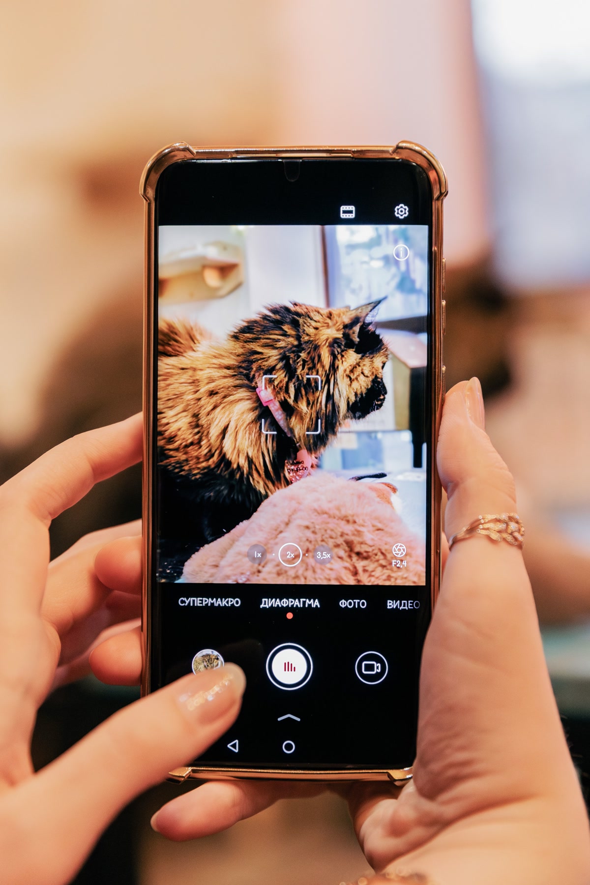 Smart pet camera with night vision for pets