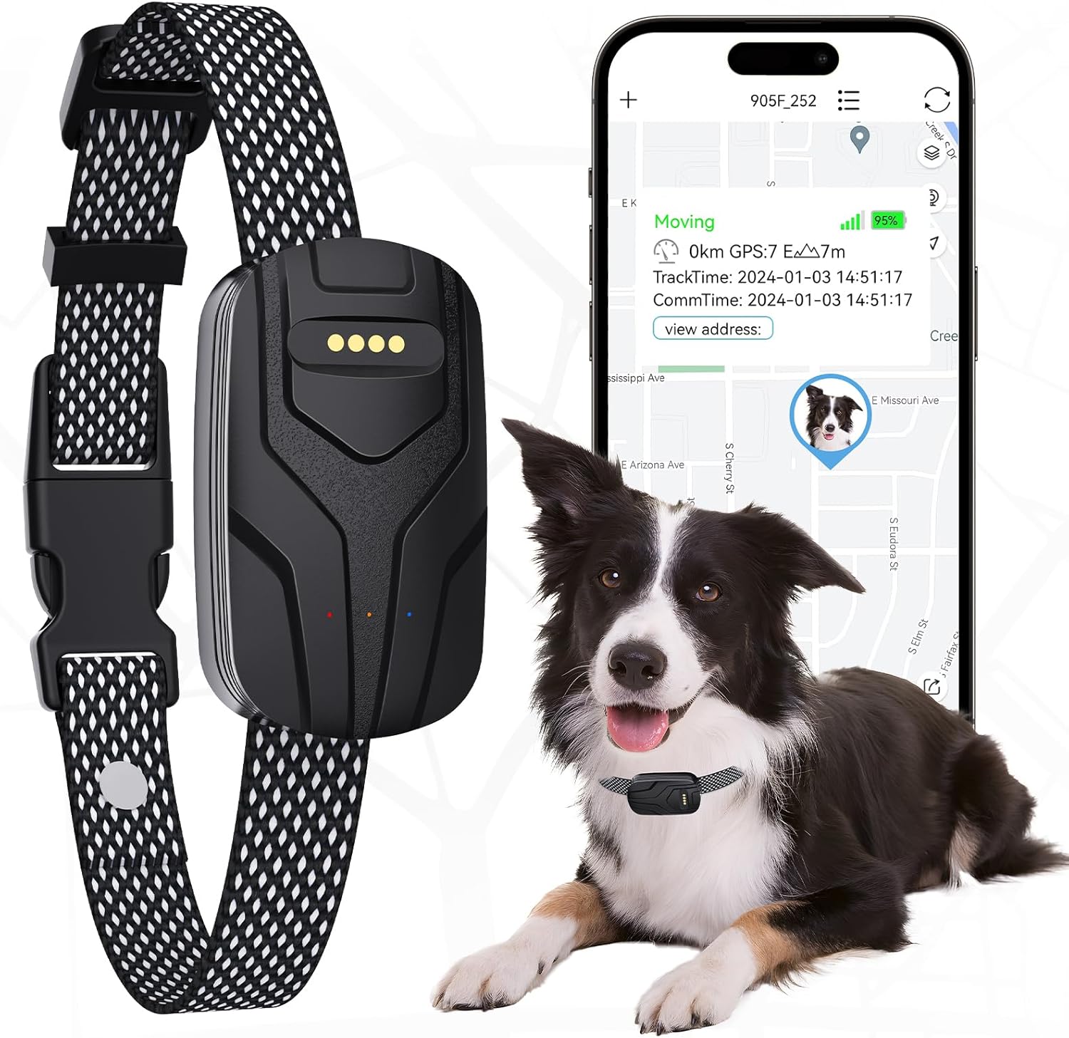 GPS pet tracker collar for monitoring walks