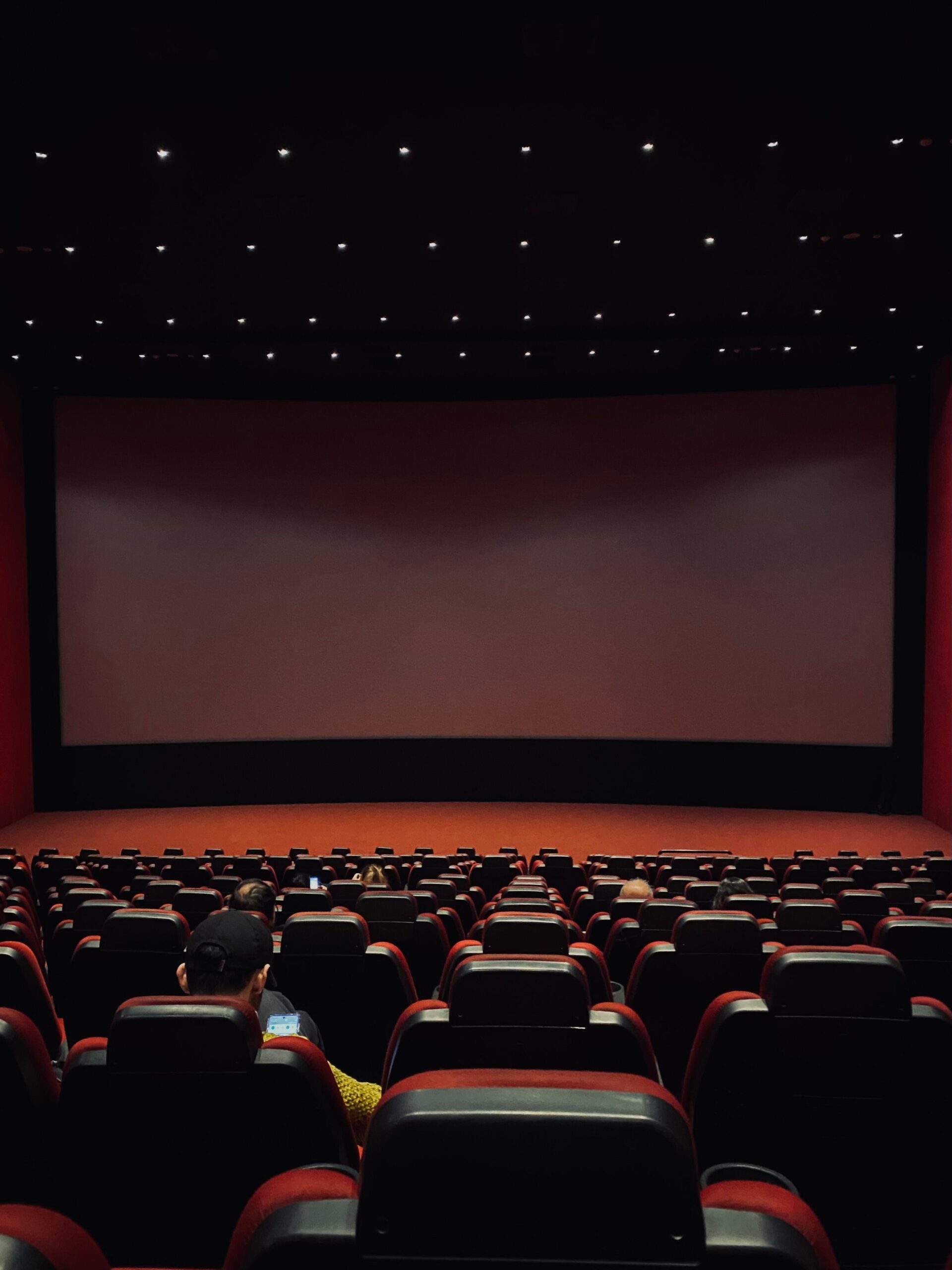 Home theater setup with dimmed lights for movie night automation