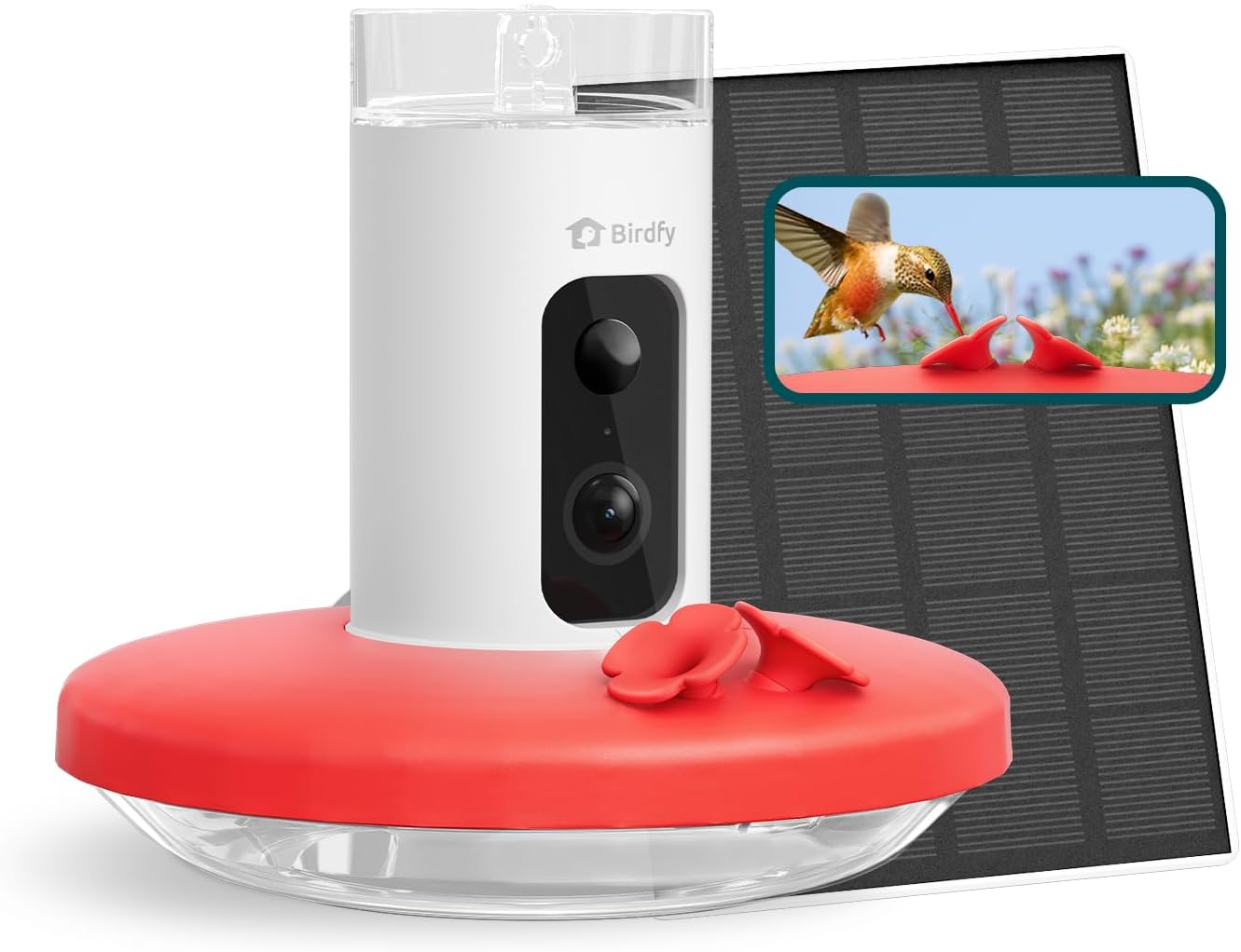 Birdfy hummingbird feeder with camera and solar panel