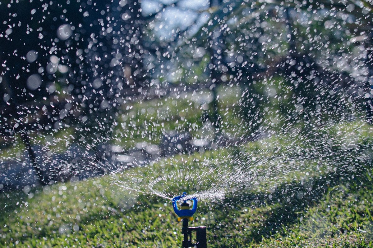 Sprinkler head watering a dark green garden lawn at dusk