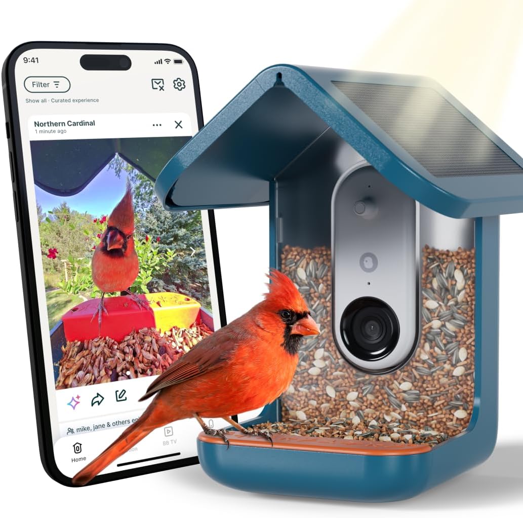 Bird Buddy Pro Solar Smart Feeder