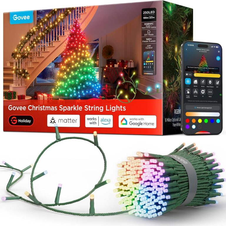 Christmas Lights on Autopilot: 4 Strands That Run the Display