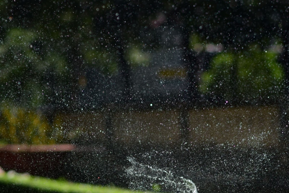 Lawn sprinkler spraying water across grass in sunlight