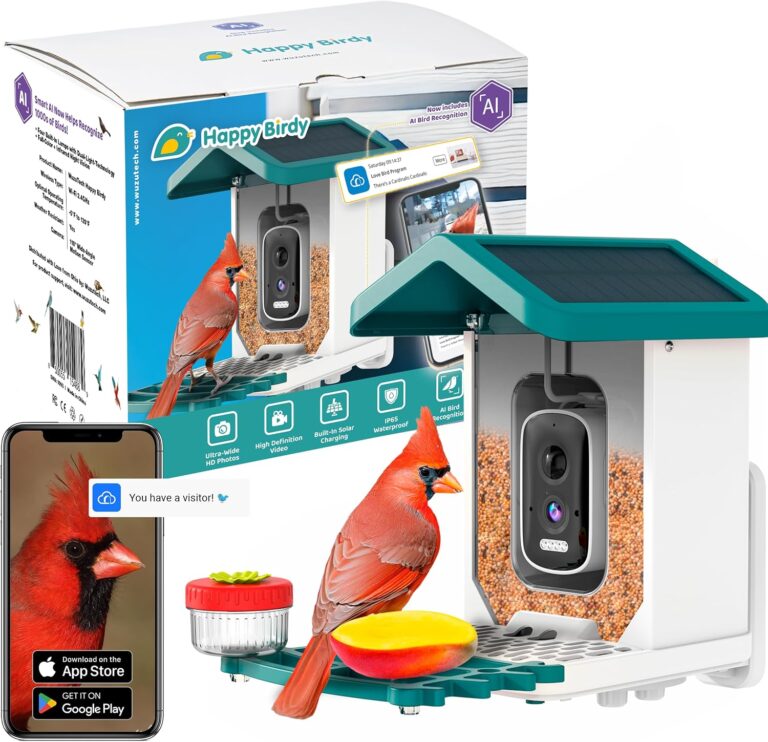 Backyard Bird Feeders With Cameras: 4 That Name Every Visitor