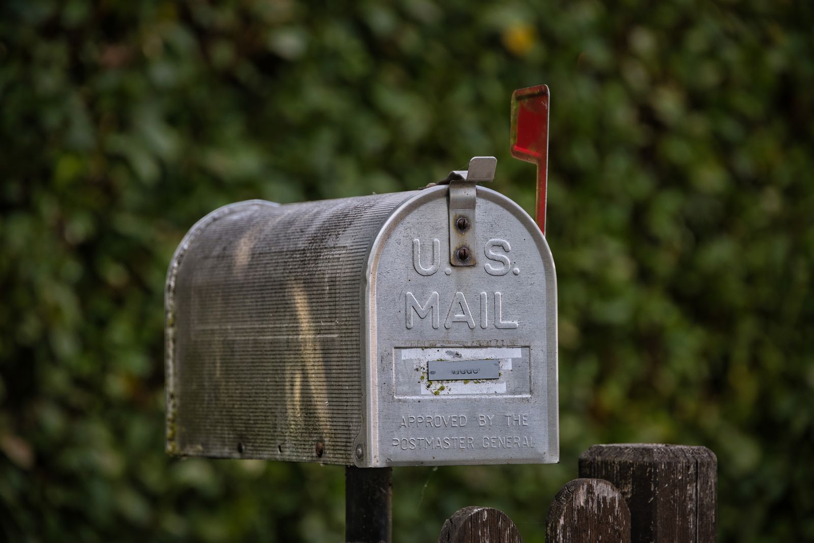 Classic galvanized US mailbox with raised flag against green garden foliage