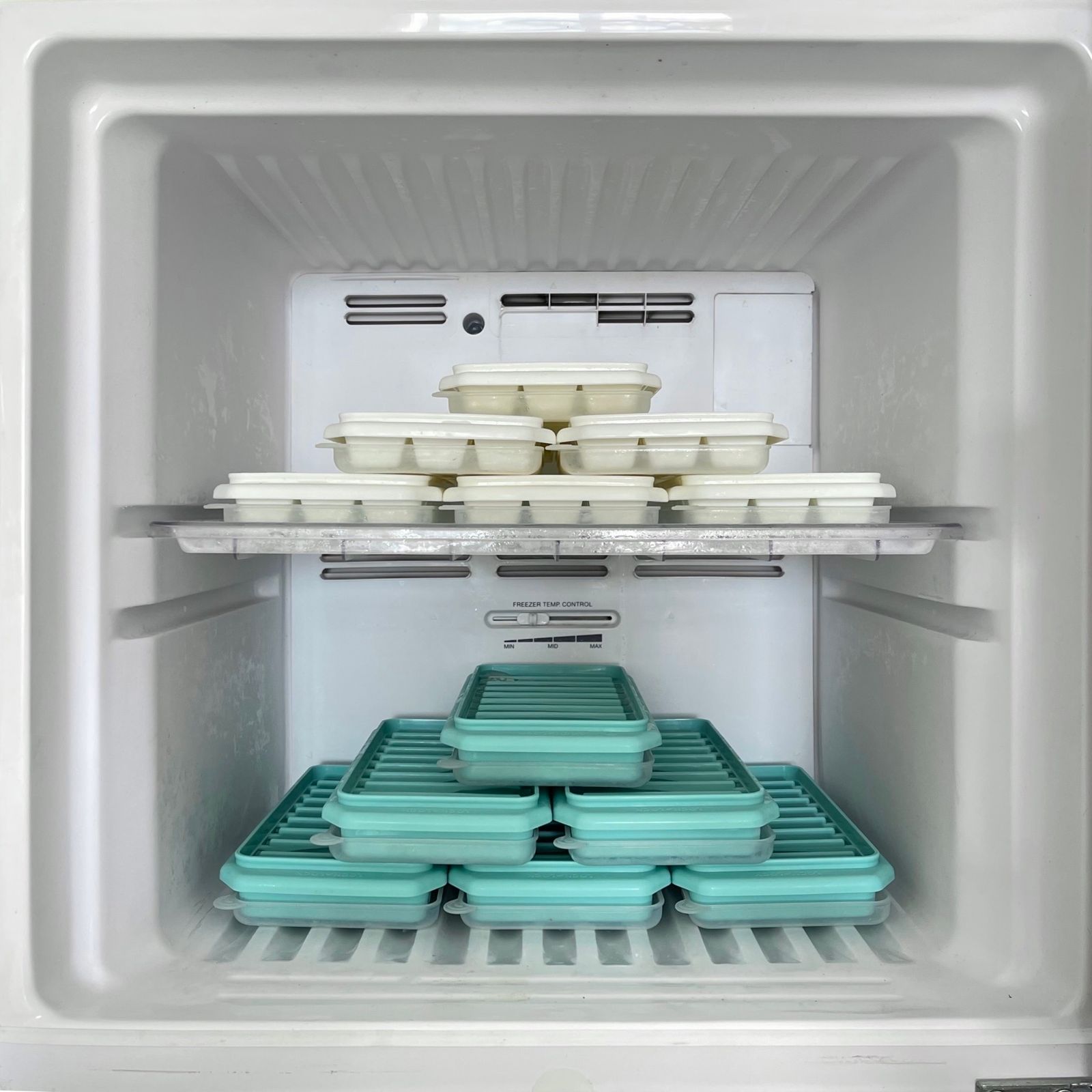 Neatly organized freezer in home kitchen